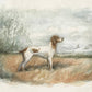 Bird Hunting Dog Fine Art Print, 11 x 14