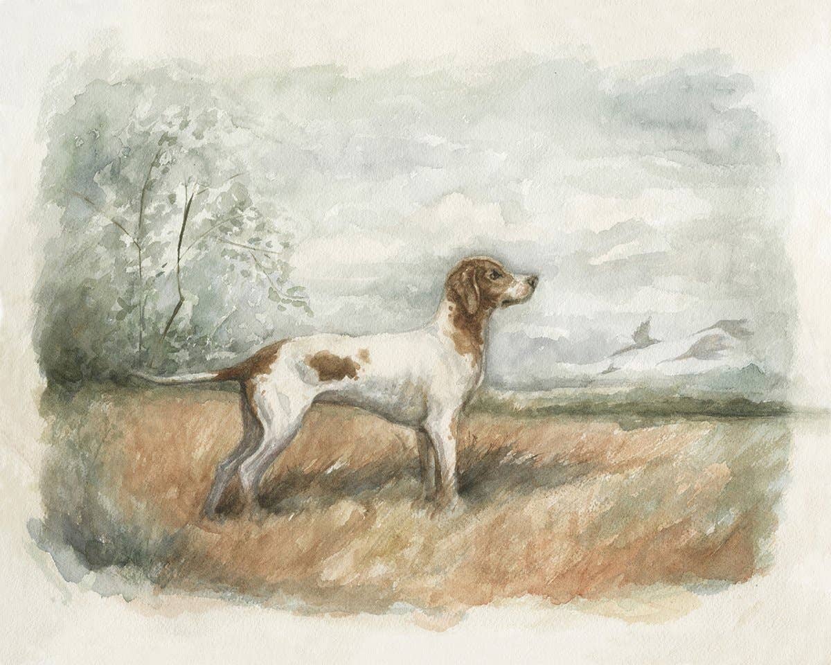 Bird Hunting Dog Fine Art Print, 11 x 14