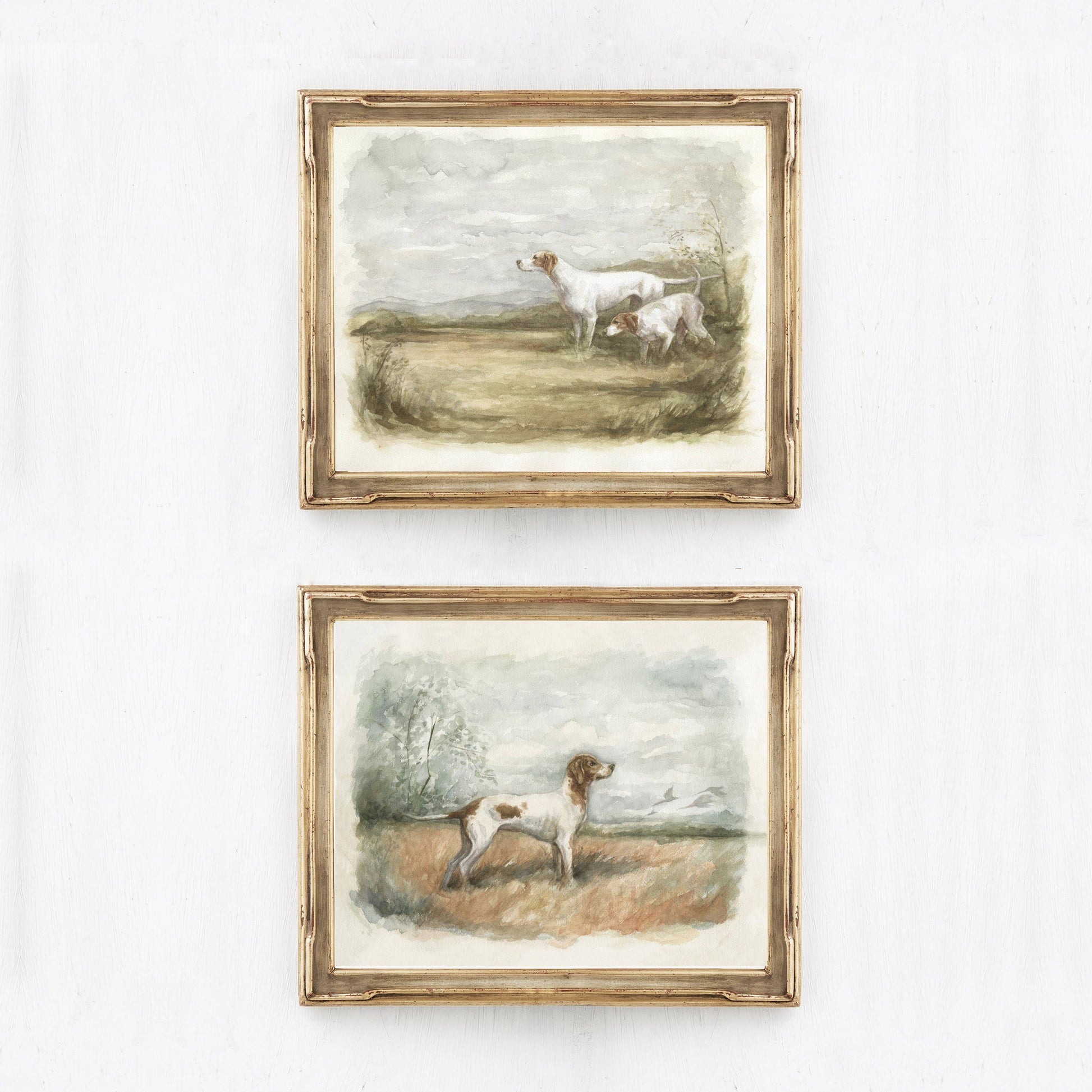 Two hunting dogs art prints with gold frames hanging on the wall