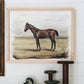 Brown Horse Wall Art Print, 11 x 14