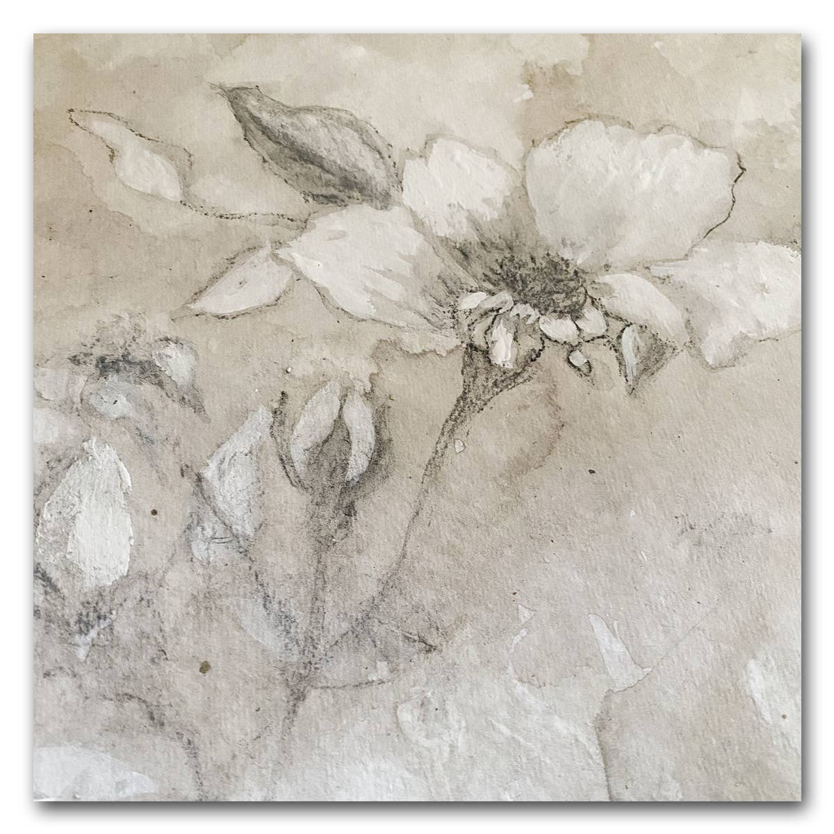 Botanical Sketch Neutral Fine Art Print, 16 x 16