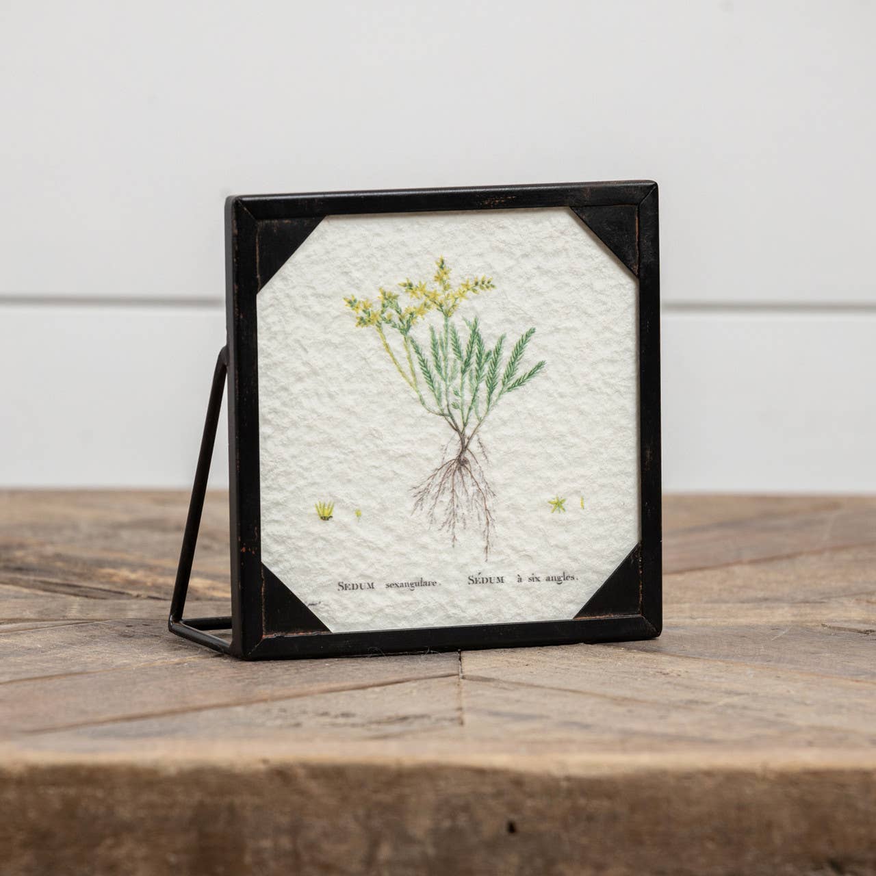 Risa Pressed Flowers Black Picture Frame  sitting on a rustic tabletop with a white shiplap wall | Hugo George Home Decor & Accessories