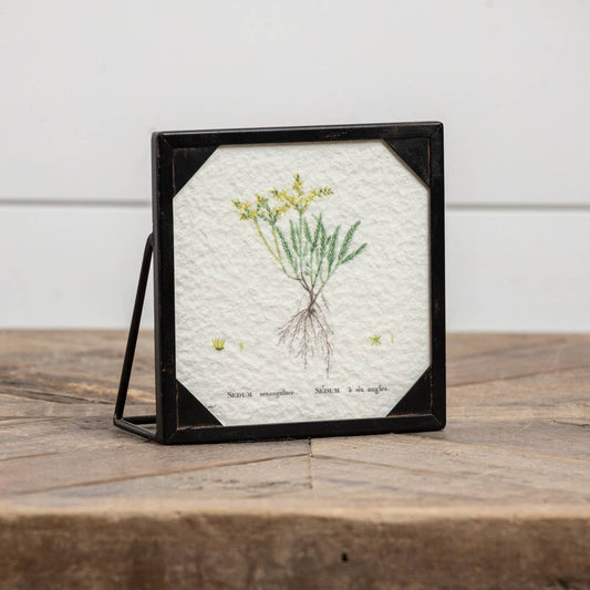 Risa Pressed Flowers Black Picture Frame  sitting on a rustic tabletop with a white shiplap wall | Hugo George Home Decor & Accessories