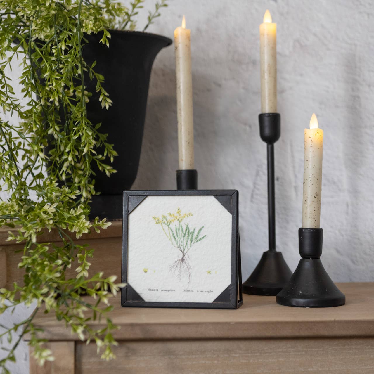 Risa Pressed Flowers Picture Frame sitting next to 3 rustic black taper candleholders and a plant in a black urn | Hugo George Home